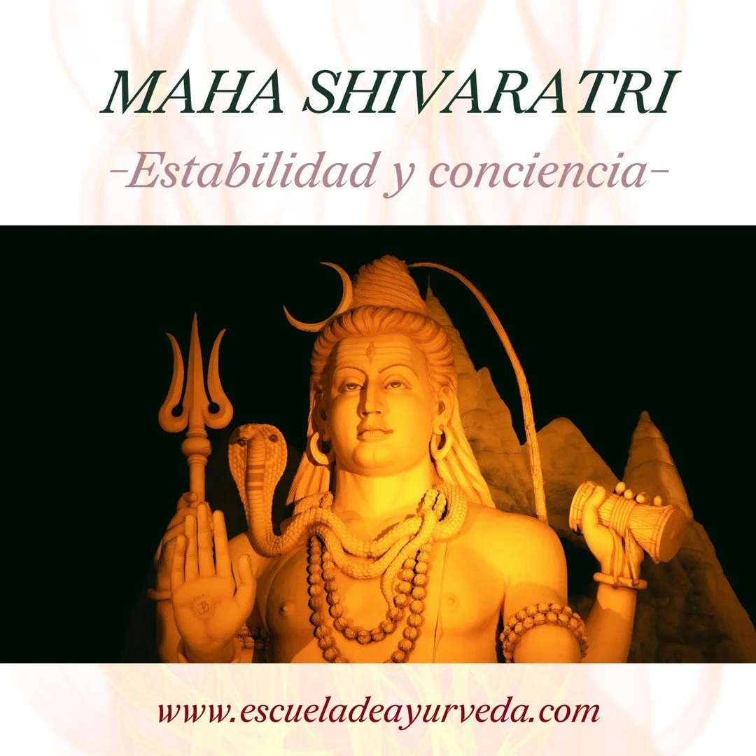 Maha Shivaratri suele entenderse como una festividad religiosa, pero en la tradici&oacute;n v&eacute;dica su significado es funcional y fisiol&oacute;gico, no devocional.

Shiva representa el principio de estabilidad, inmovilidad y conciencia sosteni