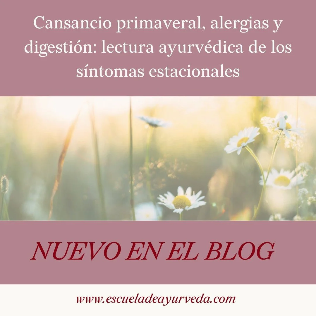 Cansancio persistente, alergias estacionales y digesti&oacute;n irregular suelen aparecer juntos en primavera, aunque a menudo se tratan como problemas independientes.
Desde el Ayurveda, estos s&iacute;ntomas se entienden como parte de un proceso de 