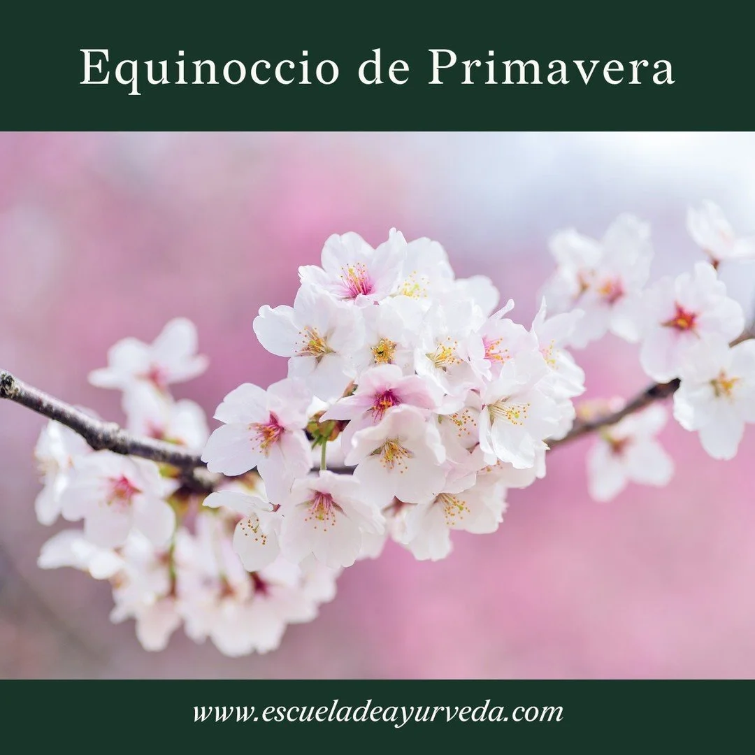 El equinoccio de primavera marca el momento en que d&iacute;a y noche se igualan. Desde aqu&iacute;, la luz comienza a predominar y el ciclo anual entra en una nueva fase de expansi&oacute;n.

En la tradici&oacute;n v&eacute;dica, este punto no se en