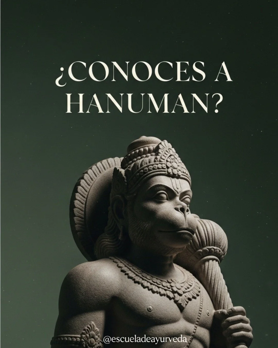 Hanuman Jayanti: La Fuerza del Prana.

Hoy celebramos el nacimiento de Hanuman, s&iacute;mbolo de la vitalidad y la resistencia biol&oacute;gica. En la tradici&oacute;n ayurv&eacute;dica, su figura representa el dominio sobre el Prana (fuerza vital) 