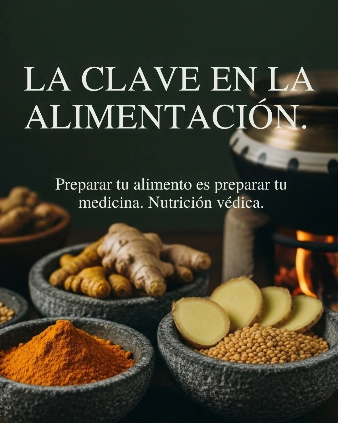 En Ayurveda, la alimentaci&oacute;n no se entiende solo como aporte de nutrientes, sino como una herramienta fundamental para mantener el equilibrio del organismo.

La forma en que elegimos, combinamos y preparamos los alimentos influye directamente 