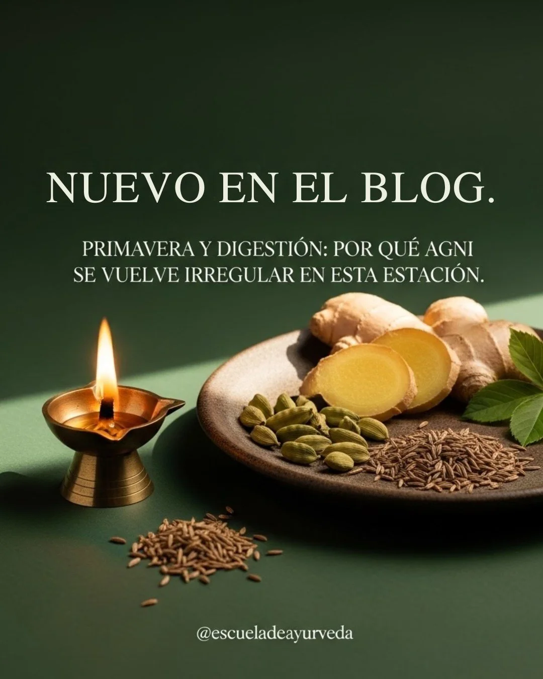 Nuevo art&iacute;culo en el blog.

En primavera, la digesti&oacute;n puede volverse m&aacute;s irregular.
Desde el Ayurveda, esto se relaciona con los cambios estacionales y con la forma en que Agni responde al paso del invierno a la primavera.

En e