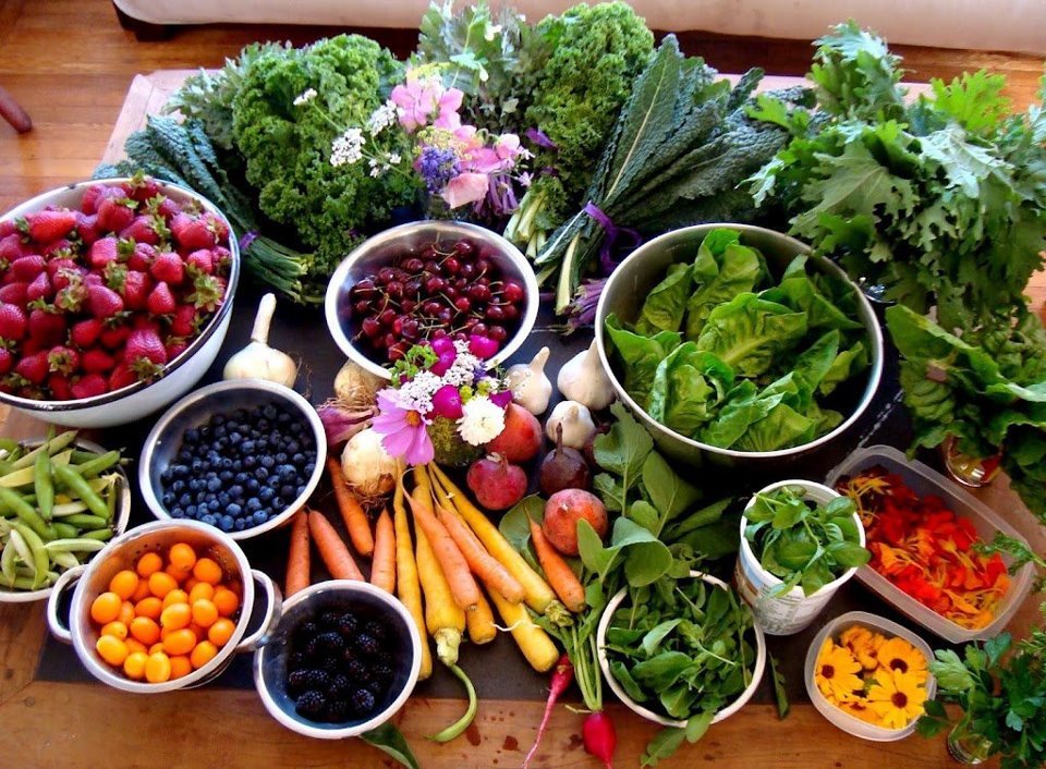 Matrícula de Dietética y Nutrición Ayurveda