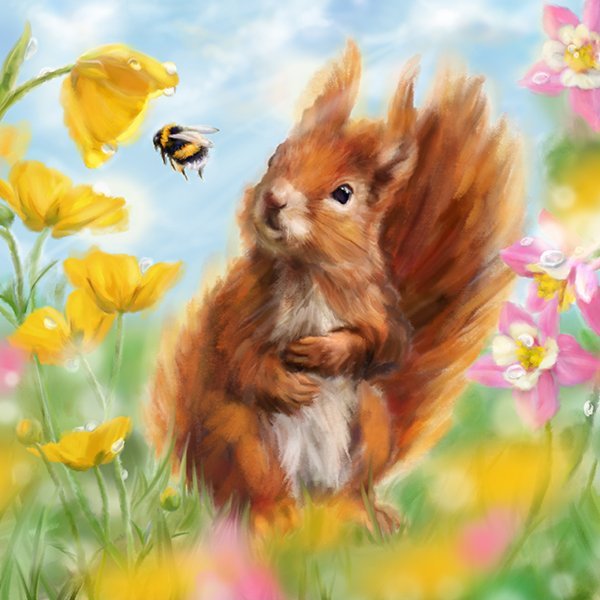 pipredsquirrelmarthabowyer.jpg