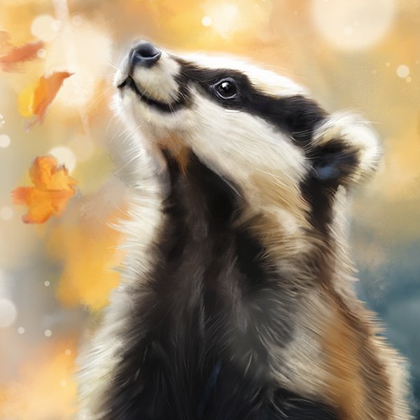 bertiebadgermarthabowyer1.jpg