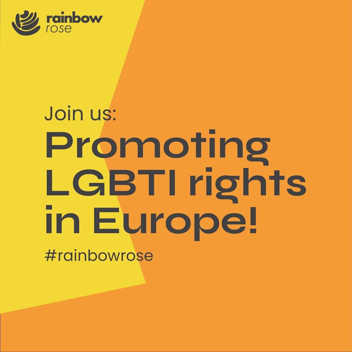 As @rainbowrose_pes we are proud to fight for LGBTI rights all over Europe 🏳️&zwj;🌈🏳️&zwj;⚧️ Together with @pes_pse we stand for an inclusive, fair Europe! 🌹