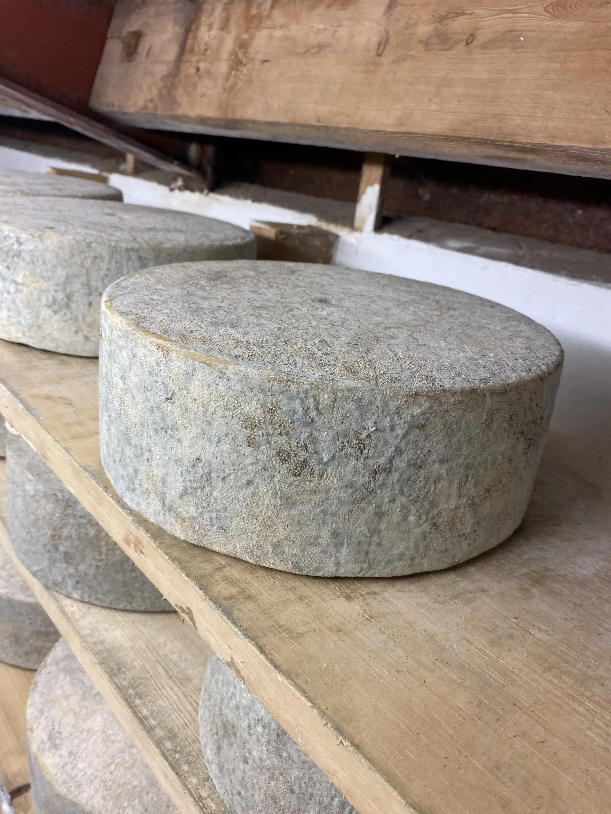 Whole rounds of Little Hereford on wooden shelves in our store room