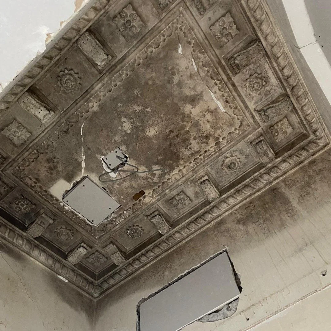 The perfect discovery!

This ceiling has been covered up for the last 50 years in a Victorian Mansion block in Clevedon, and we are delighted to see it still intact and ready for us to restore.

We will post an update once we are done.
.
.
.
#Poulter