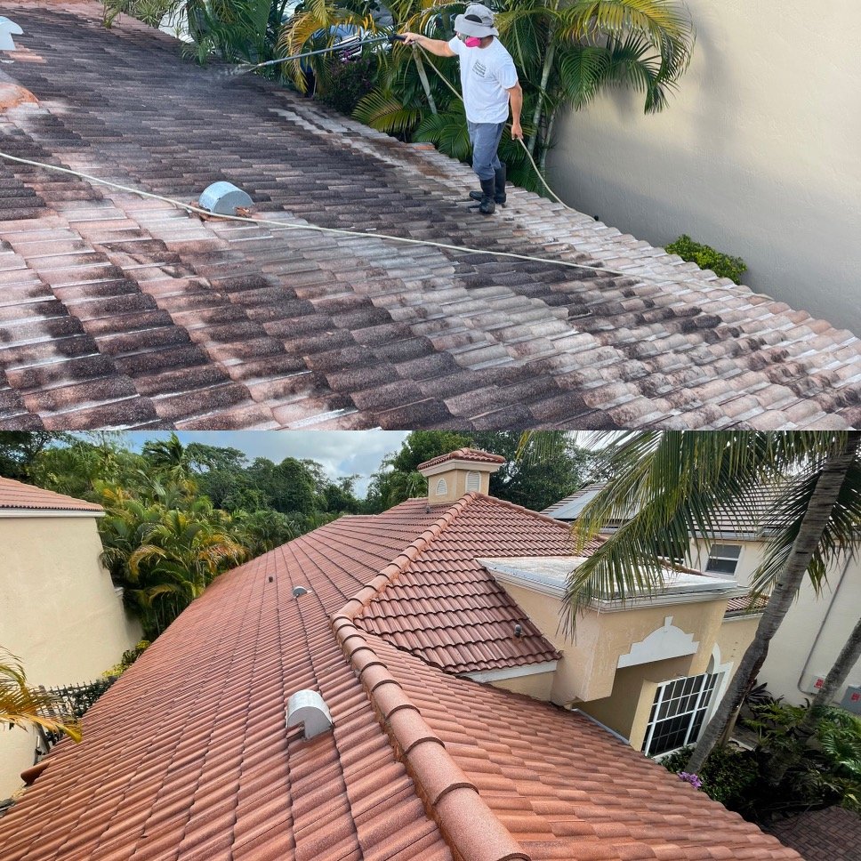 Roof Cleaning Swansea