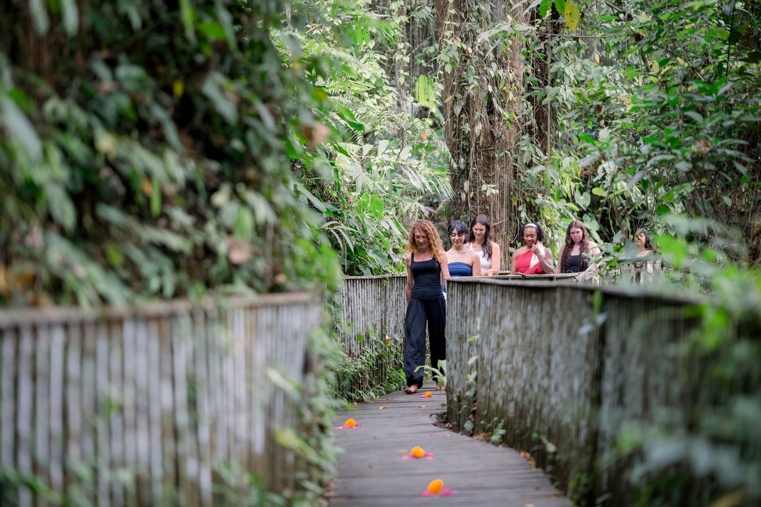 Dawn leading a small group along a jungle walkway