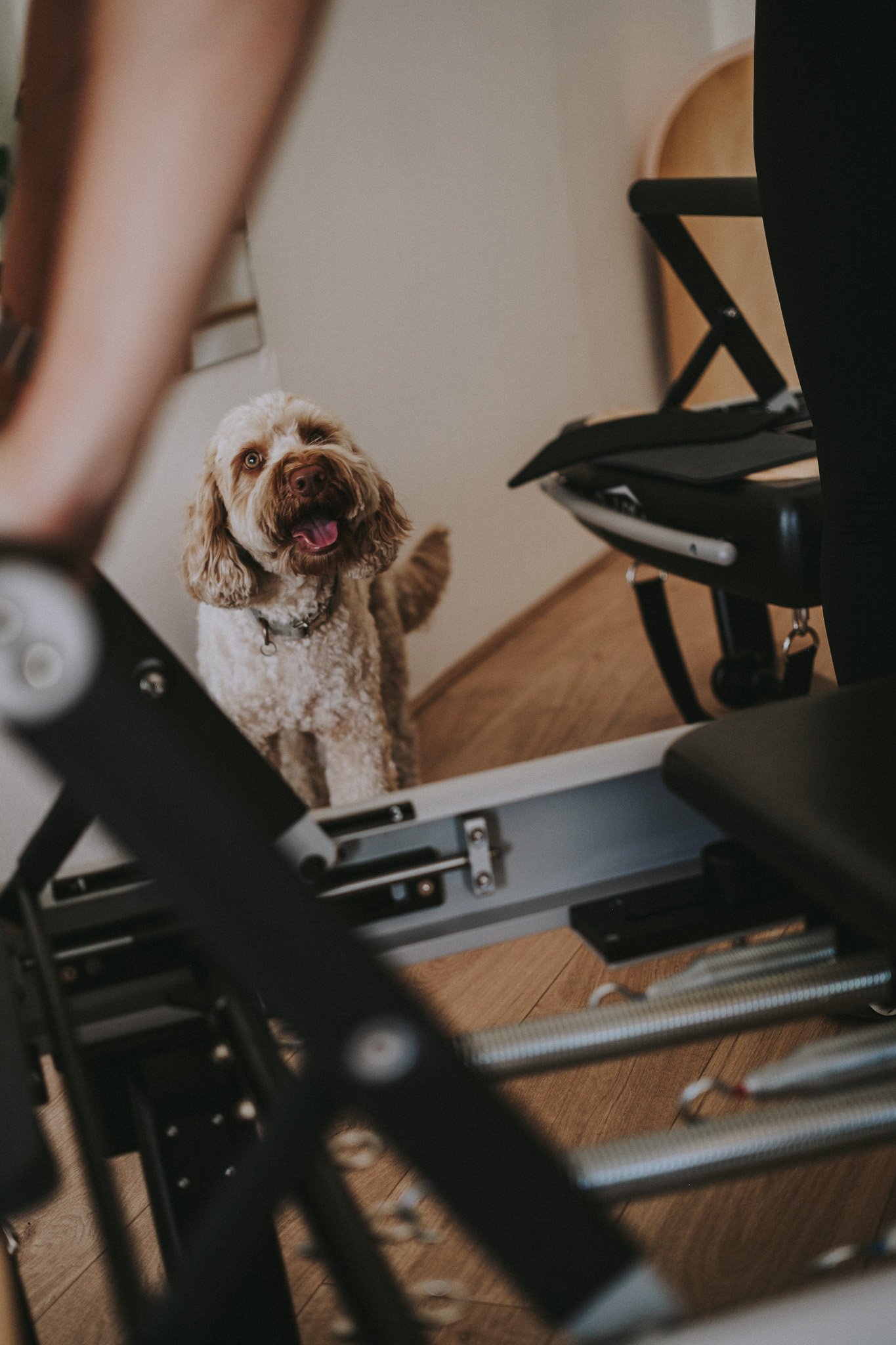 your friends can cheer you on while you pilates hard
