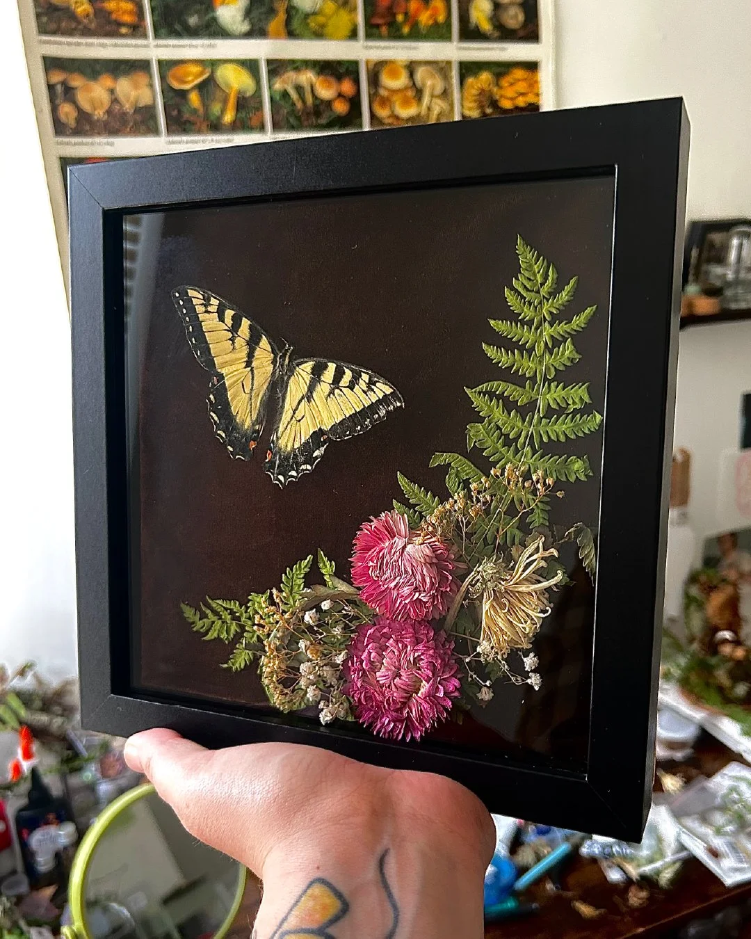 BugPinning__StoryandPost-06.jpg