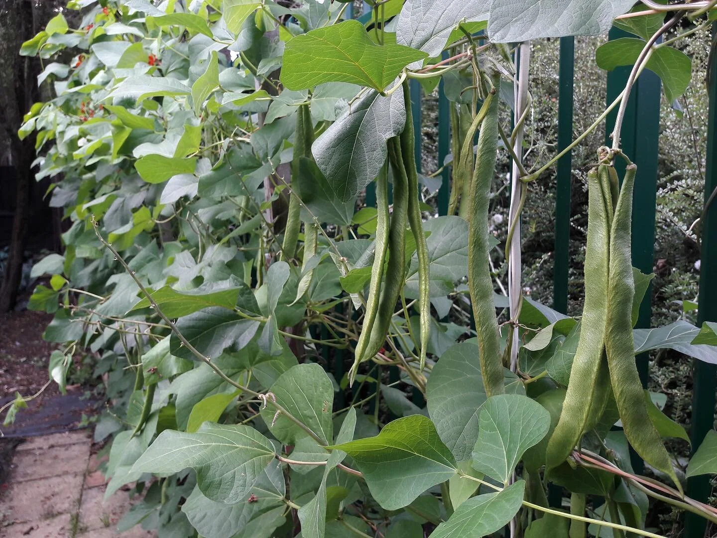 Happy Monday folks 🌱

We&rsquo;ve got some exciting news coming your way&hellip; stay tuned 👀