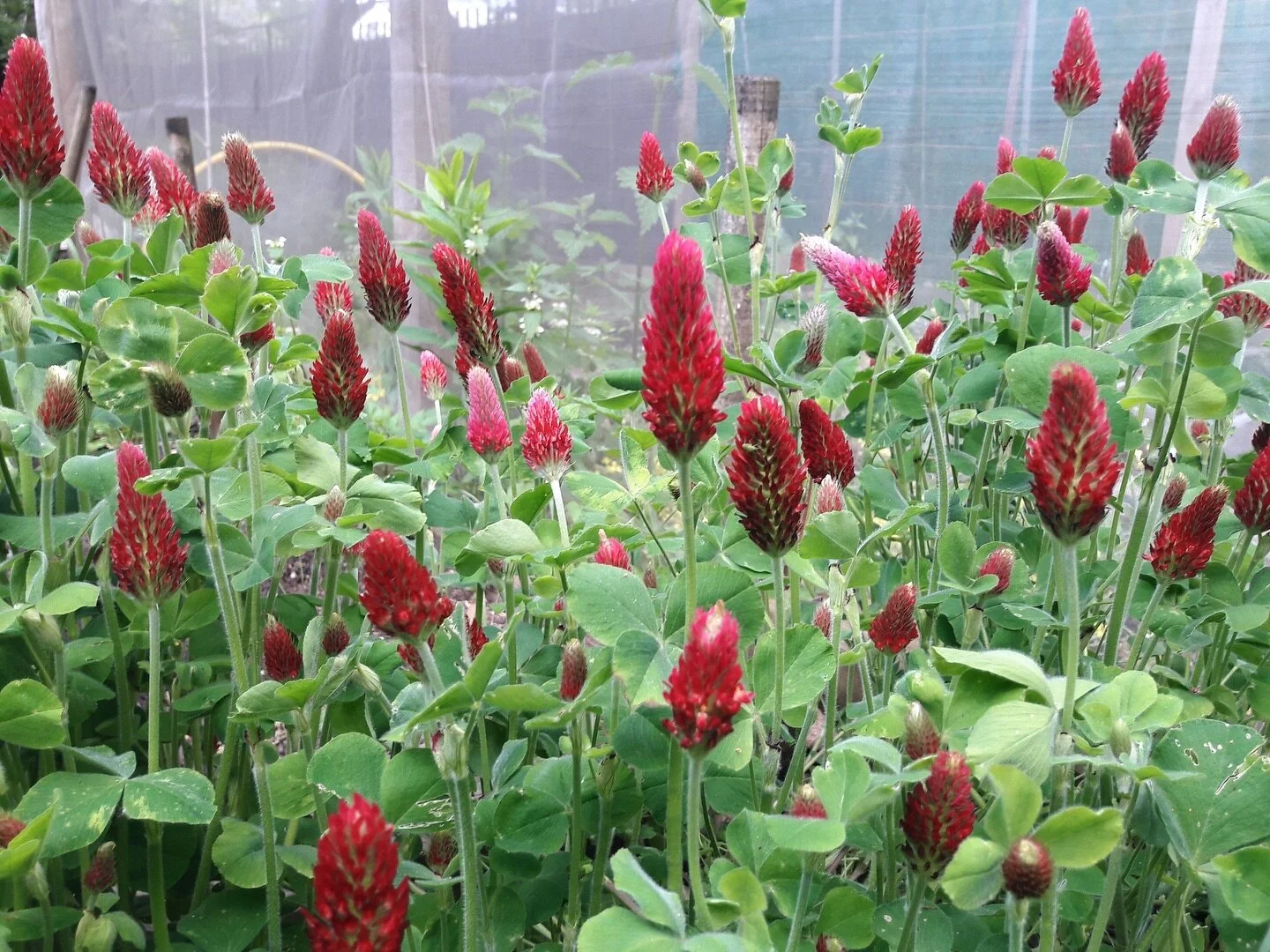 Feeling festive 🎄

We&rsquo;ve got some news headed your way tomorrow&hellip;

See you back here then! 👋