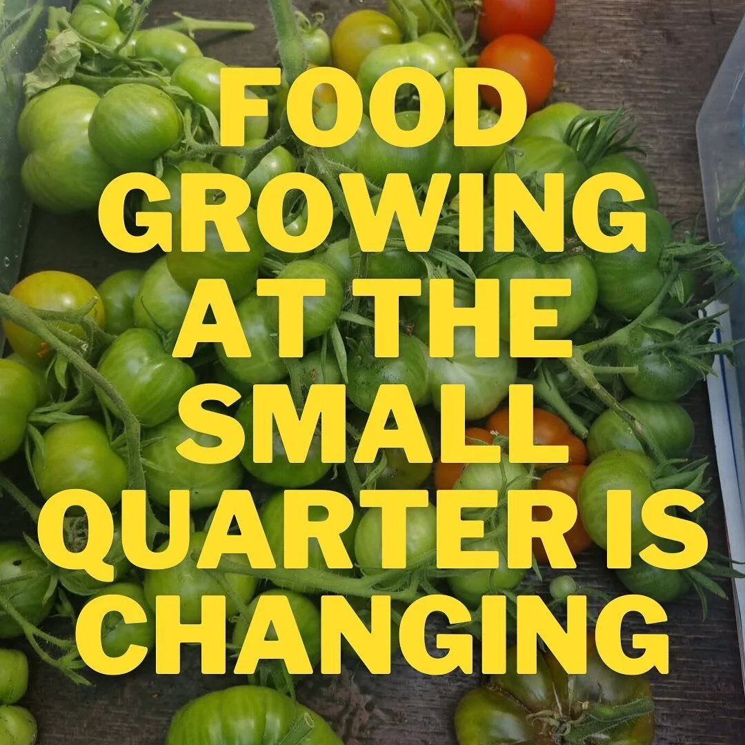 Food growing at The Small Quarter is changing! How? Read on! 👇

We&rsquo;ve been growing food at The Small Quarter for a few years now, and Gary and his granddad Dan have been growing food here longer than that (seen Dan&rsquo;s beans forest? Gary&r