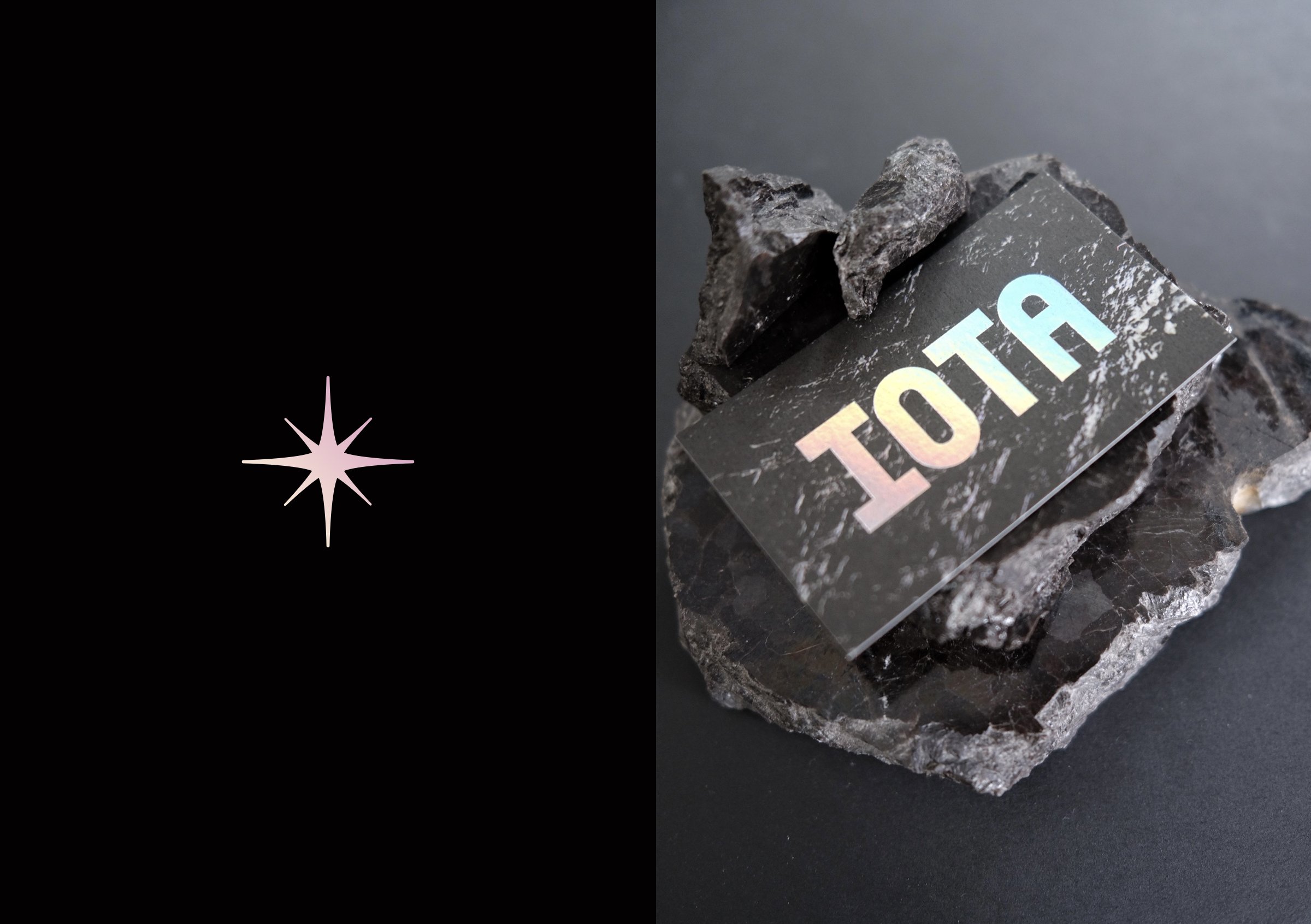 IOTA-Identity.jpg
