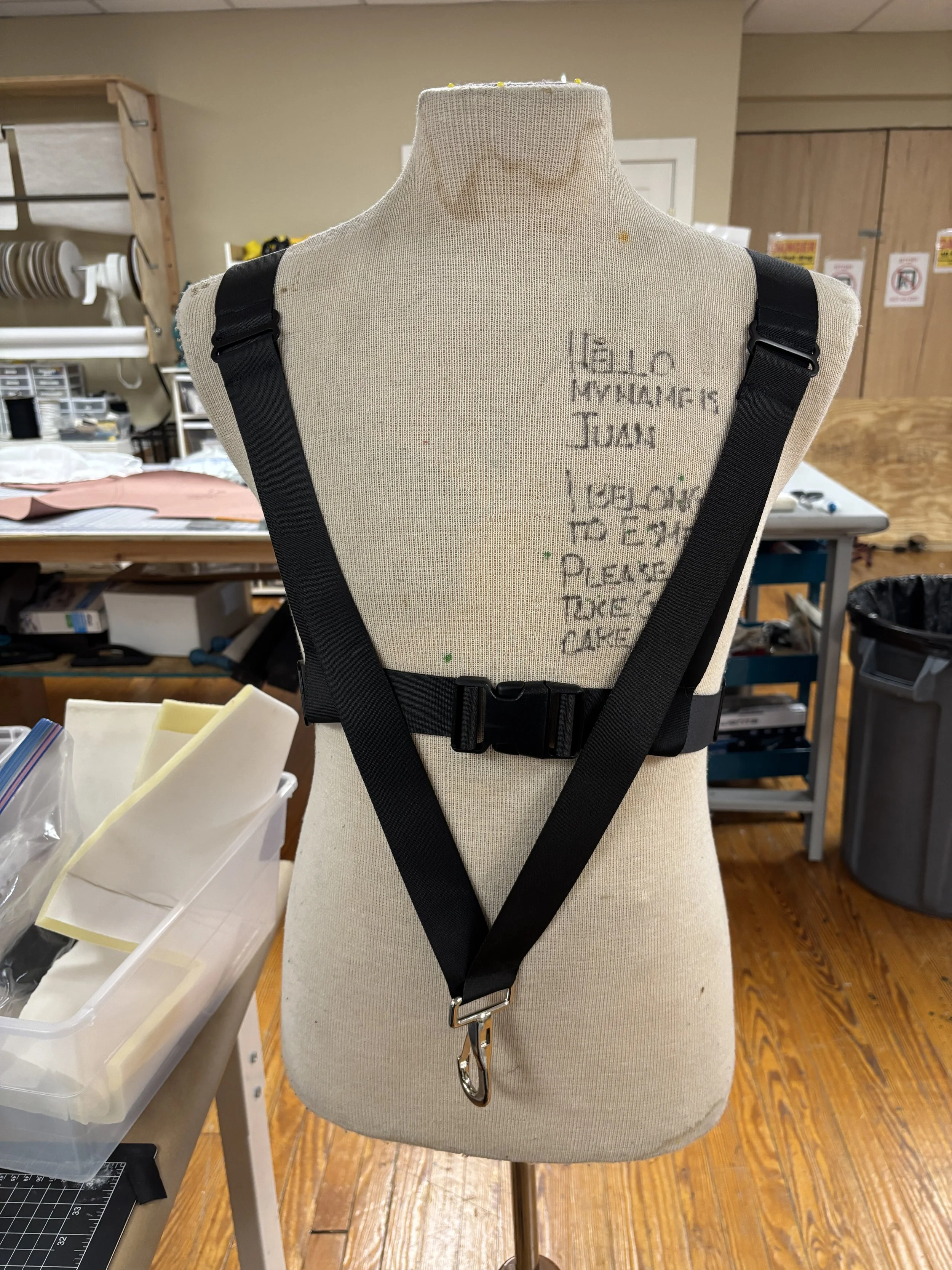 1. Harness front.JPG