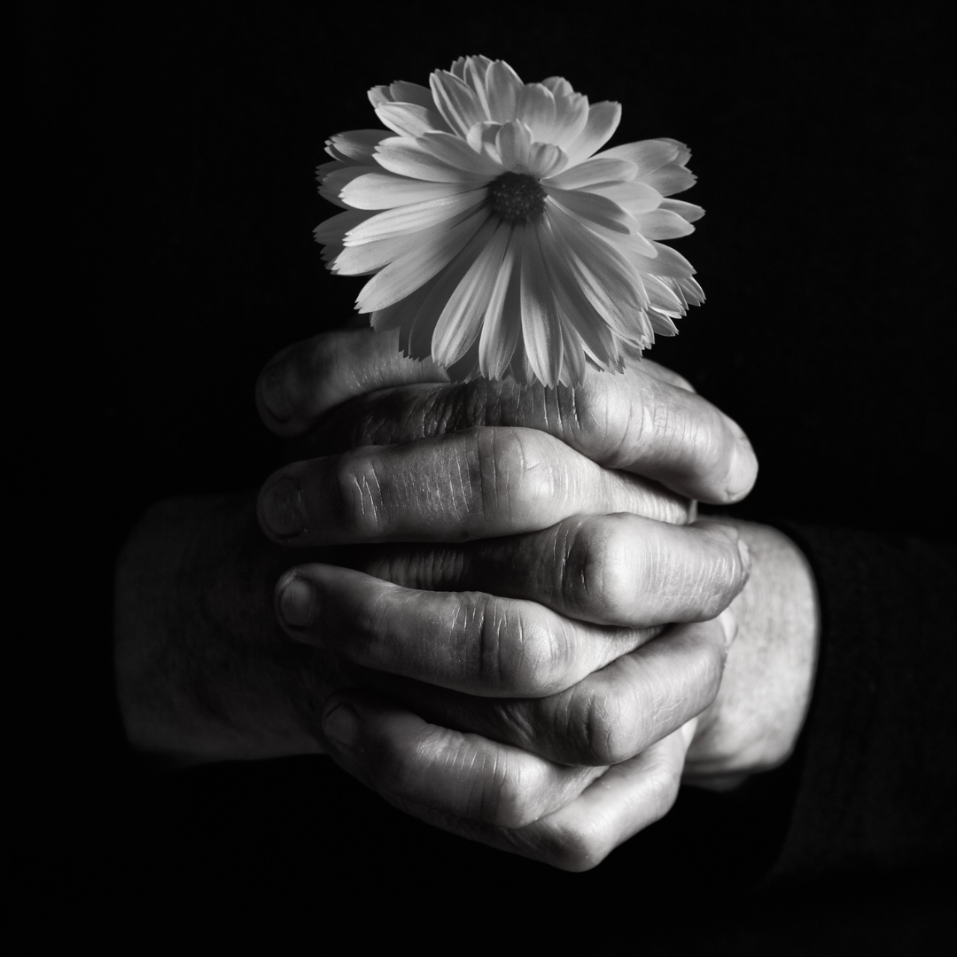 Grief Counselling in Tamworth.png