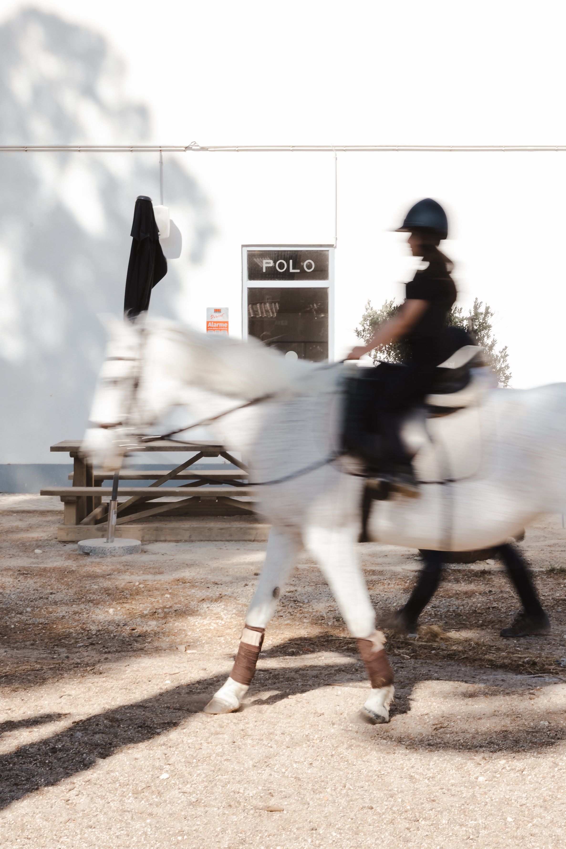 Polo1921-11.jpg