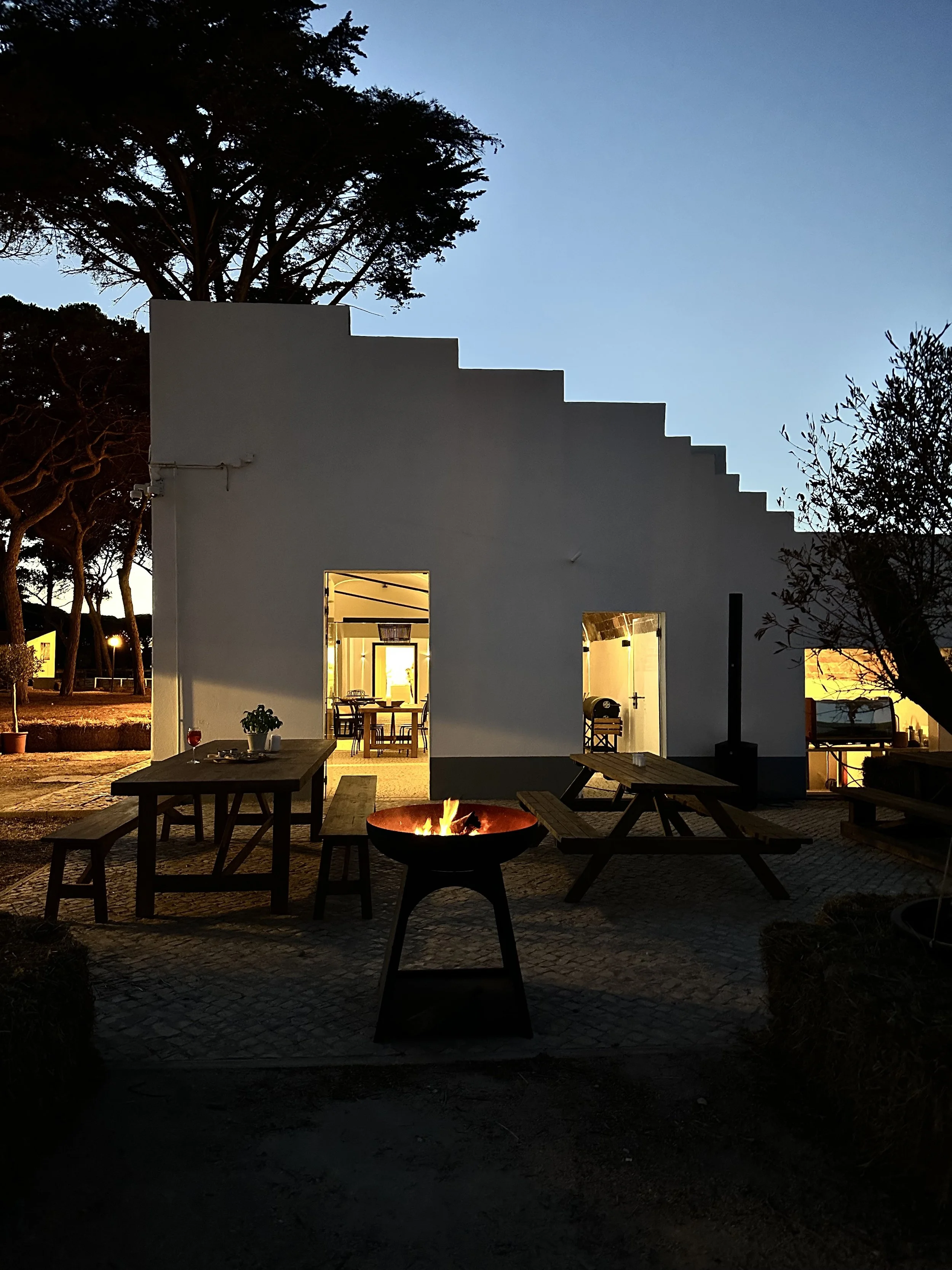 polo 1921 at night.jpeg