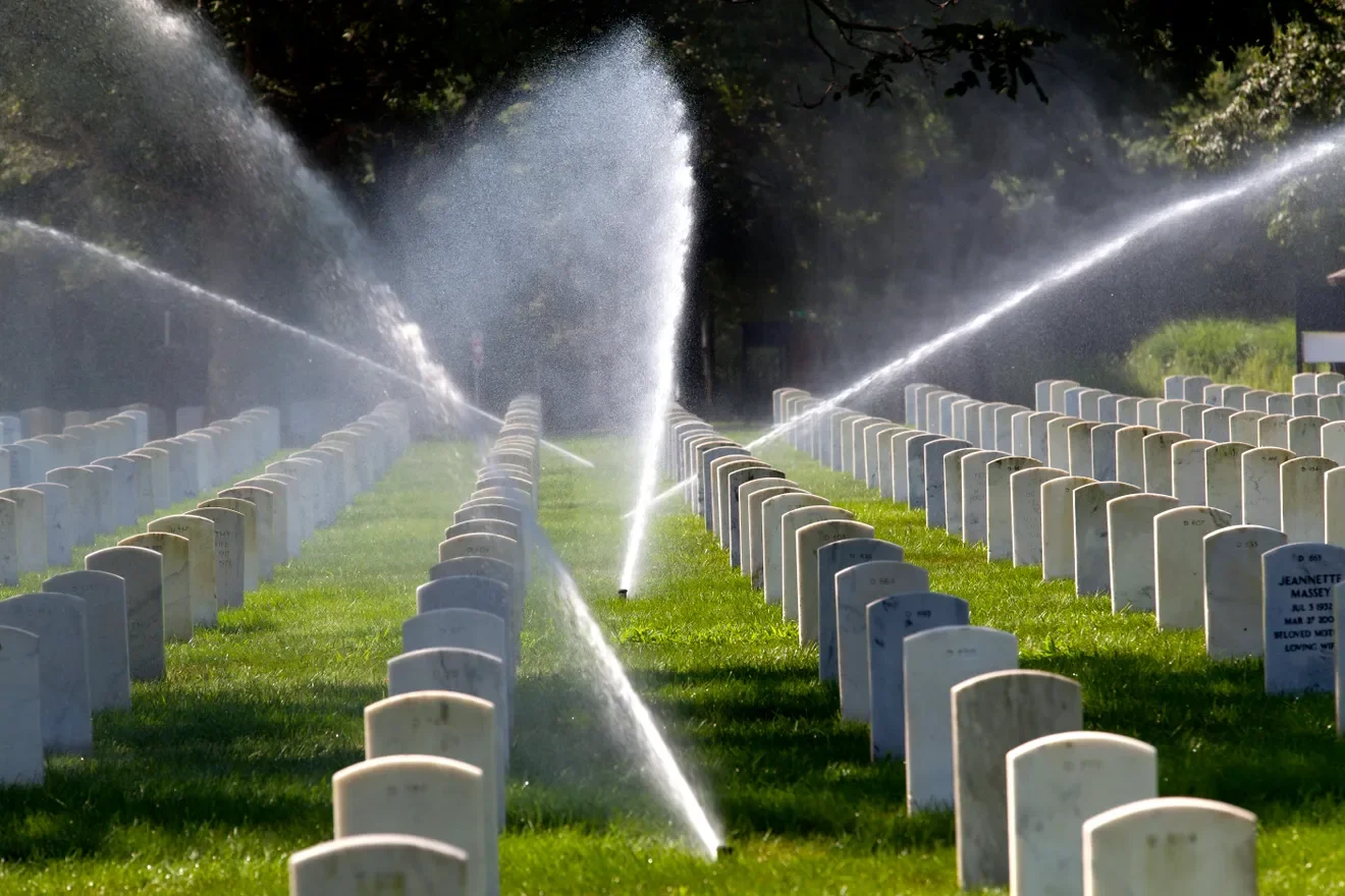 ghows-LS-1b573b70-43a4-342b-e053-0100007f81de-a50de7ec.jpeg.webp