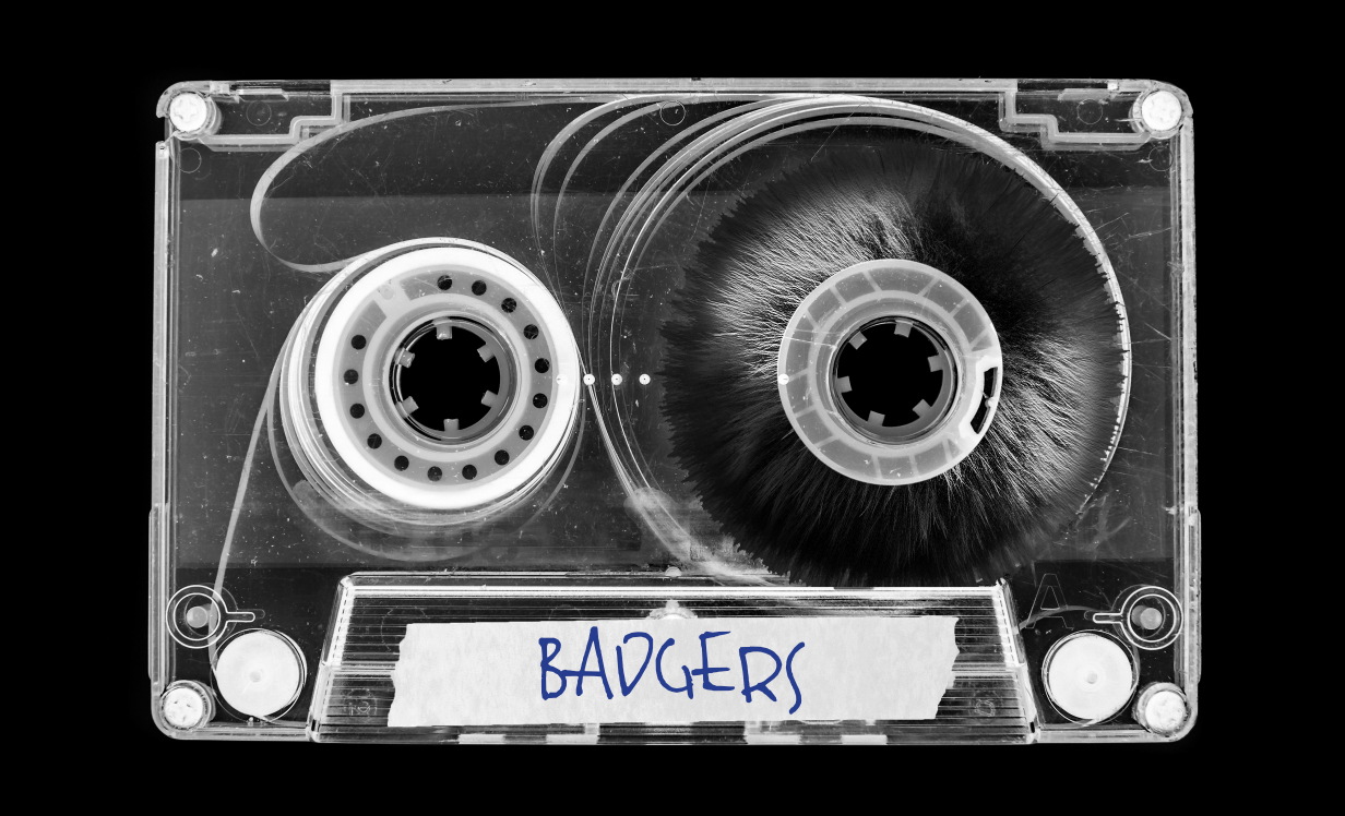 Badgers