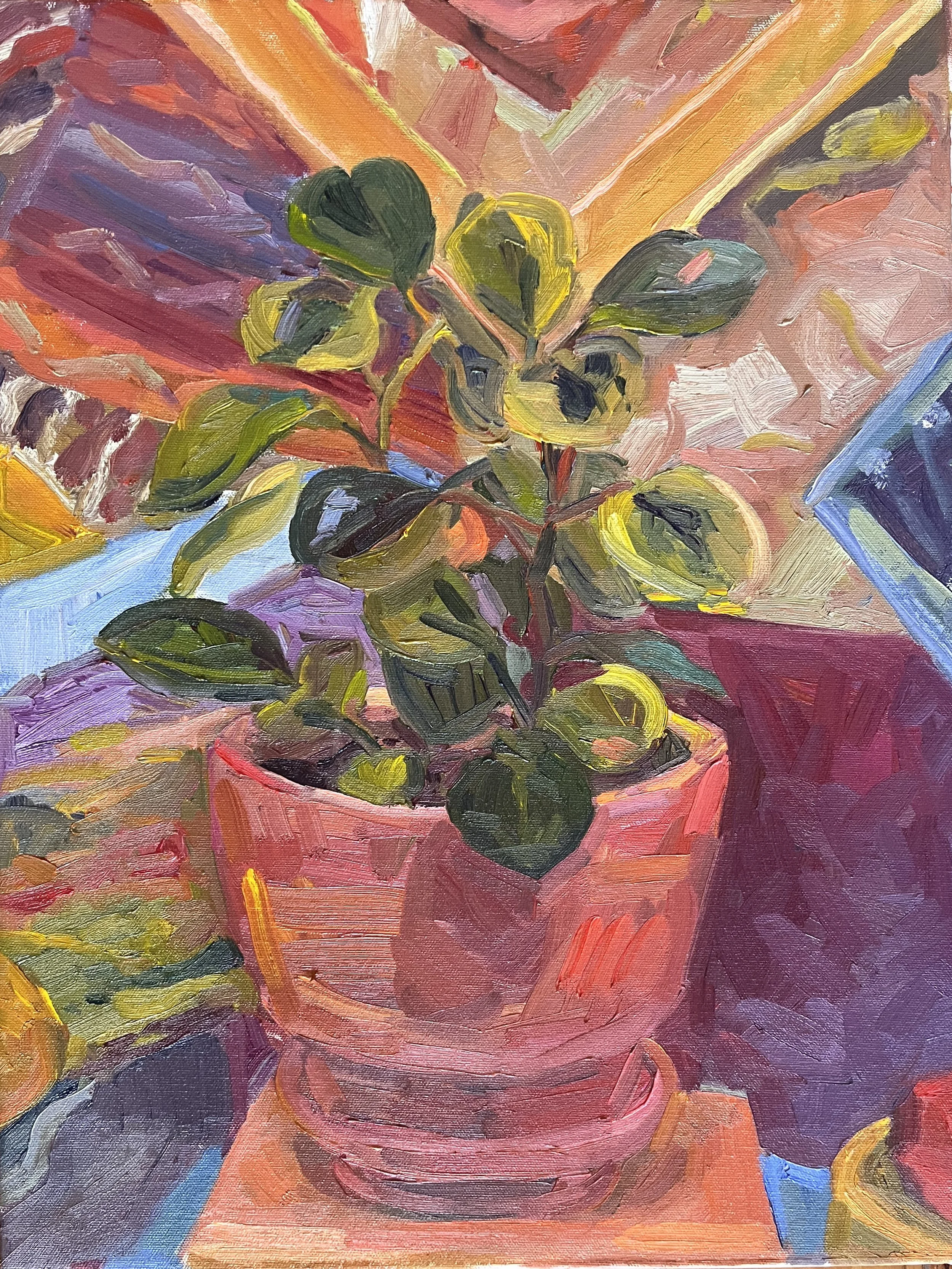 pink potted plant.jpg