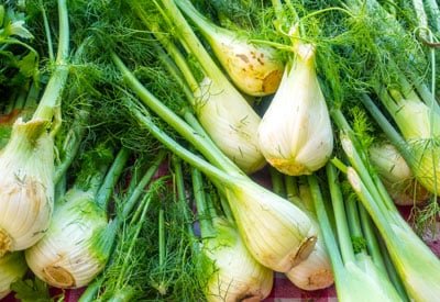fennel