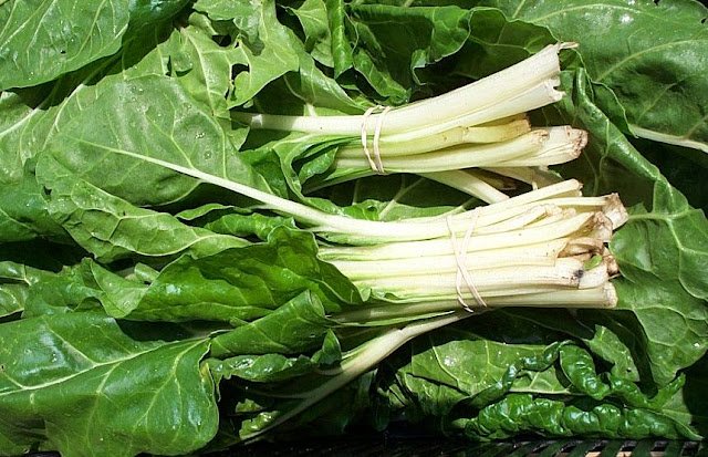 swiss chard, green (bunched)