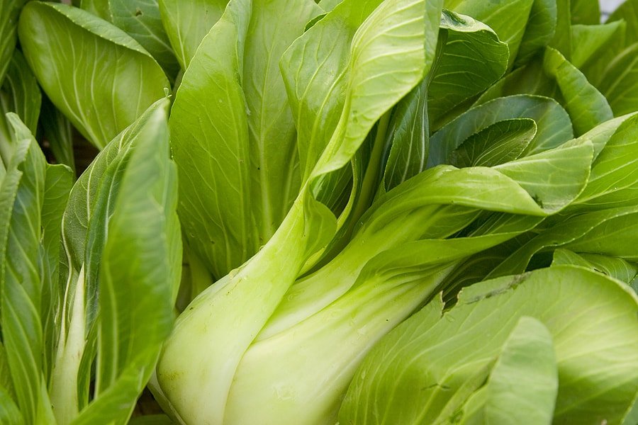choy, bok
