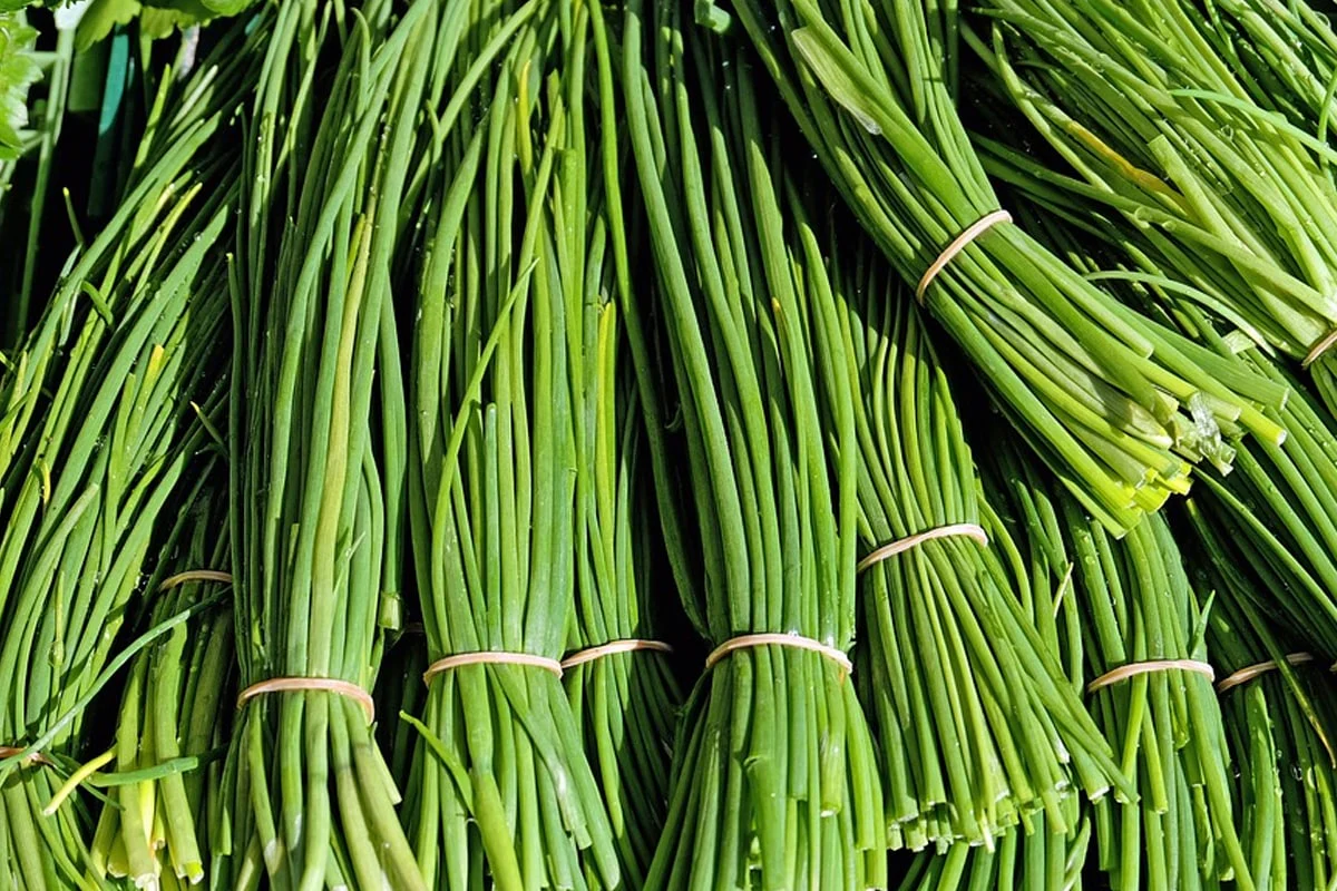 chives