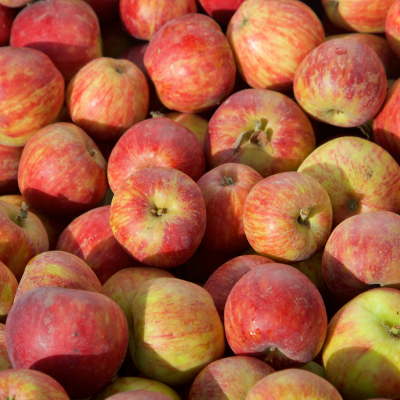apples, gala