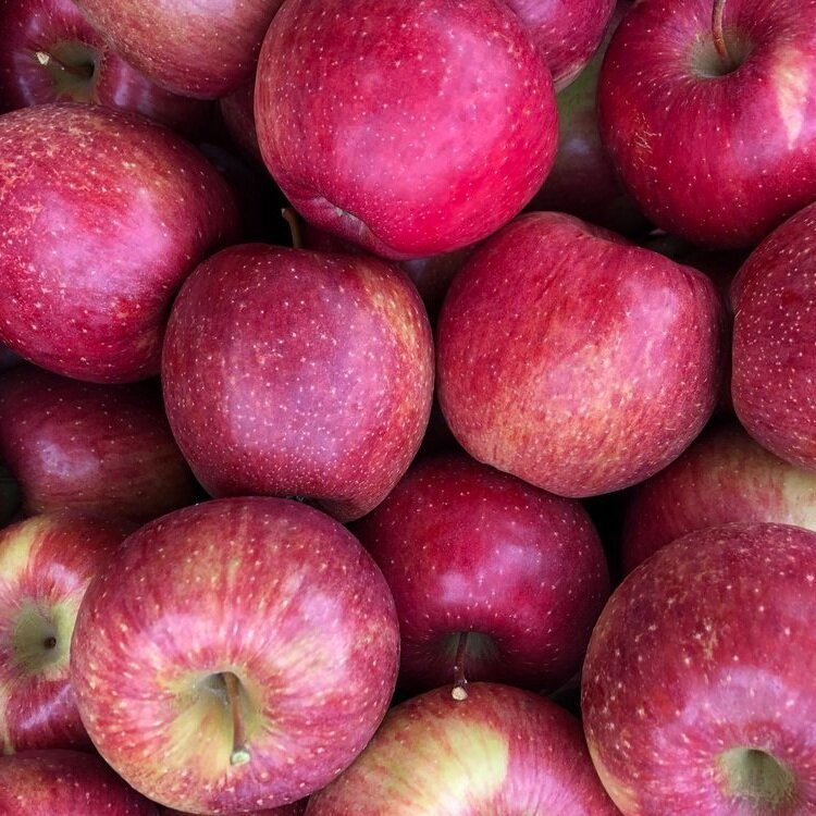 apples, cameo