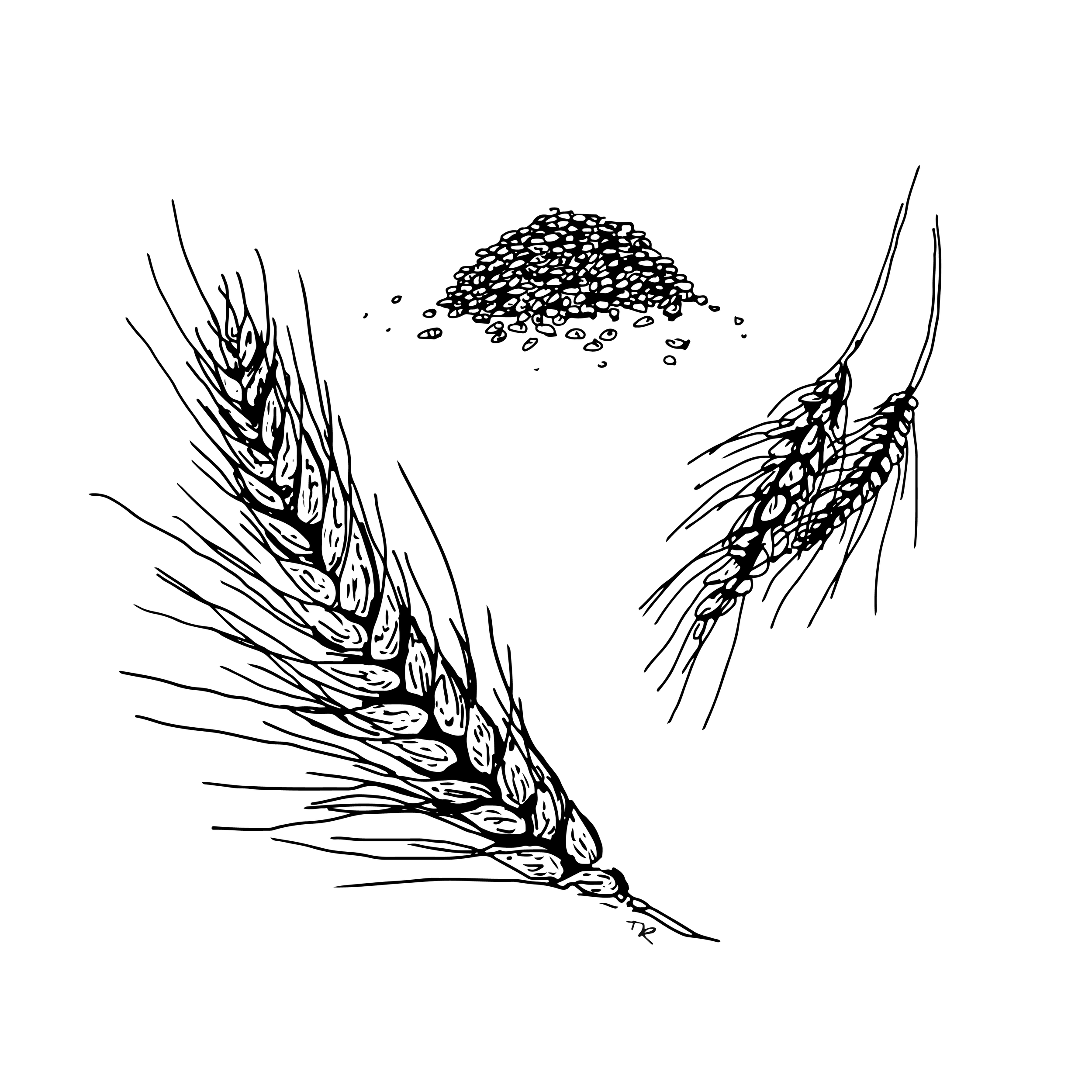 flour, whole wheat - bread