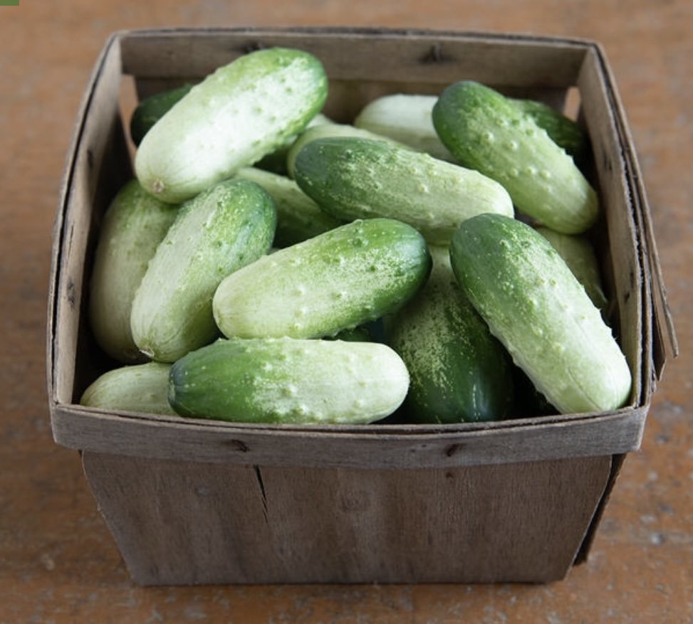 cucumber, quirk