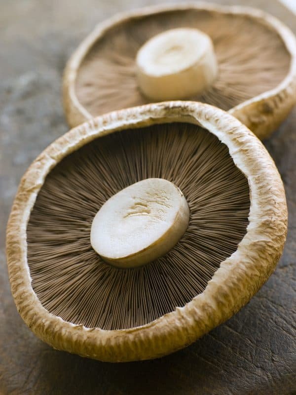 mushrooms, portobello caps