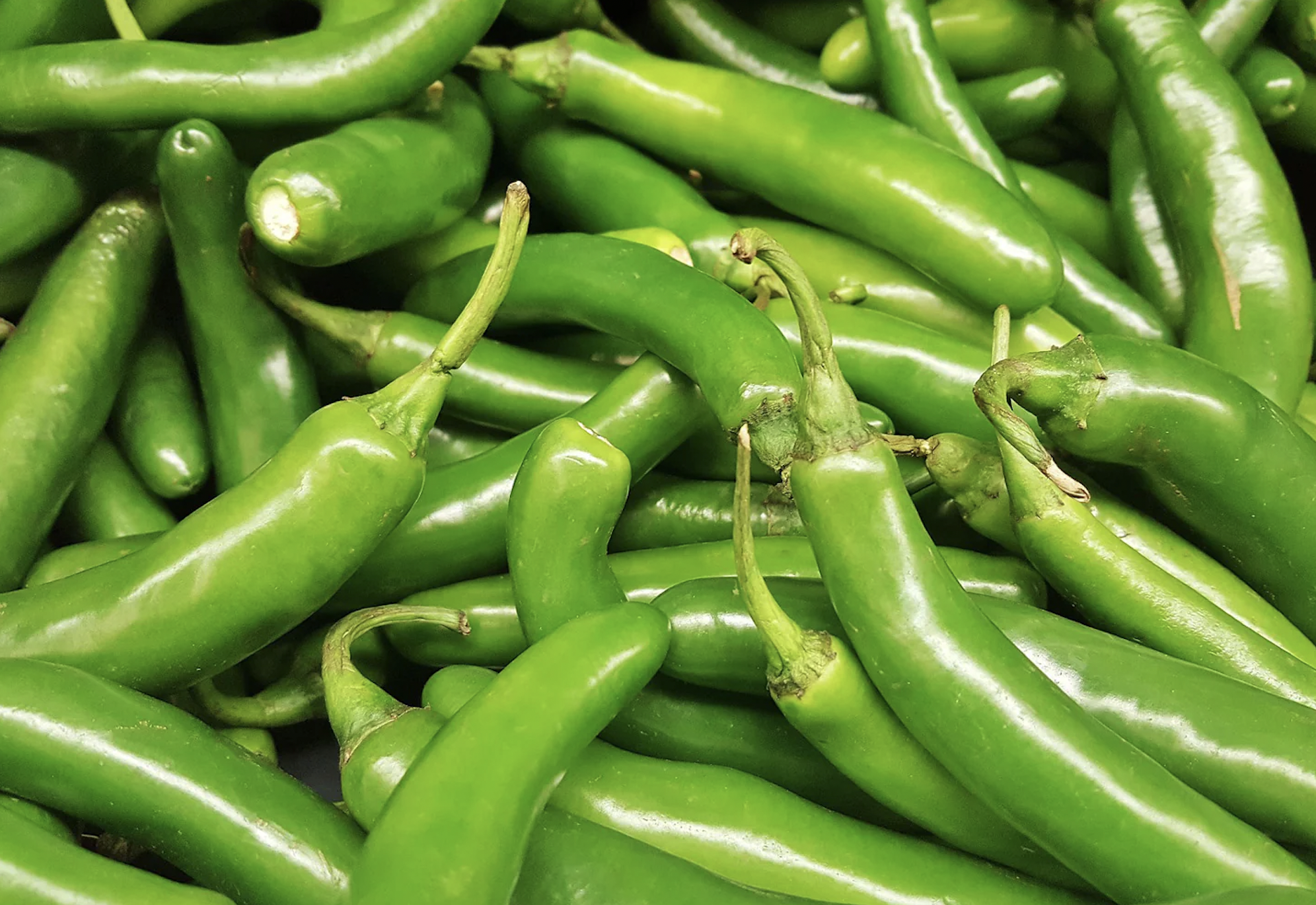 hot pepper, green serrano