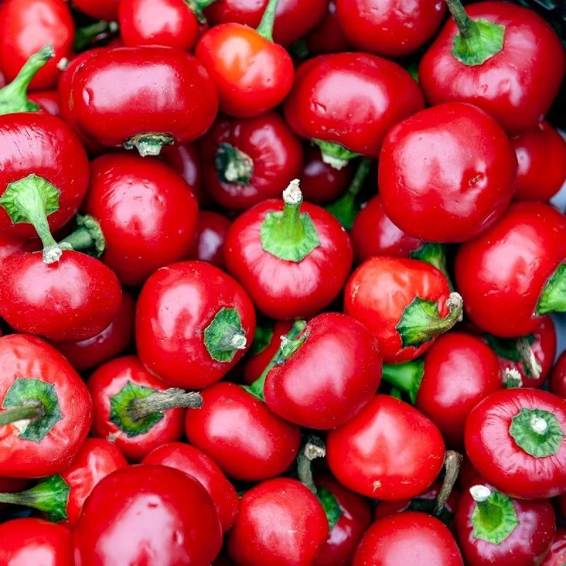pepper, cherry hot