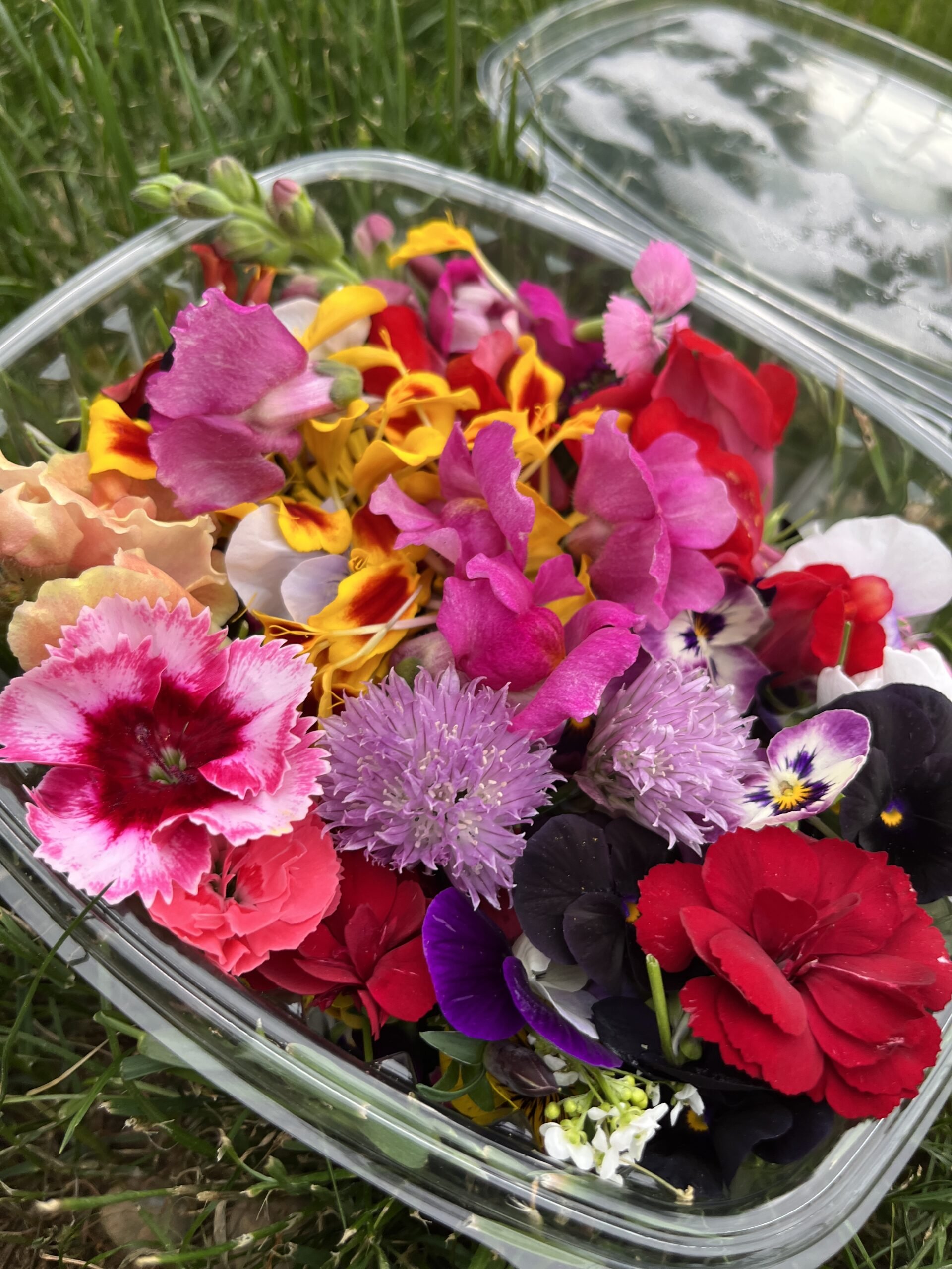 edible flowers, mix