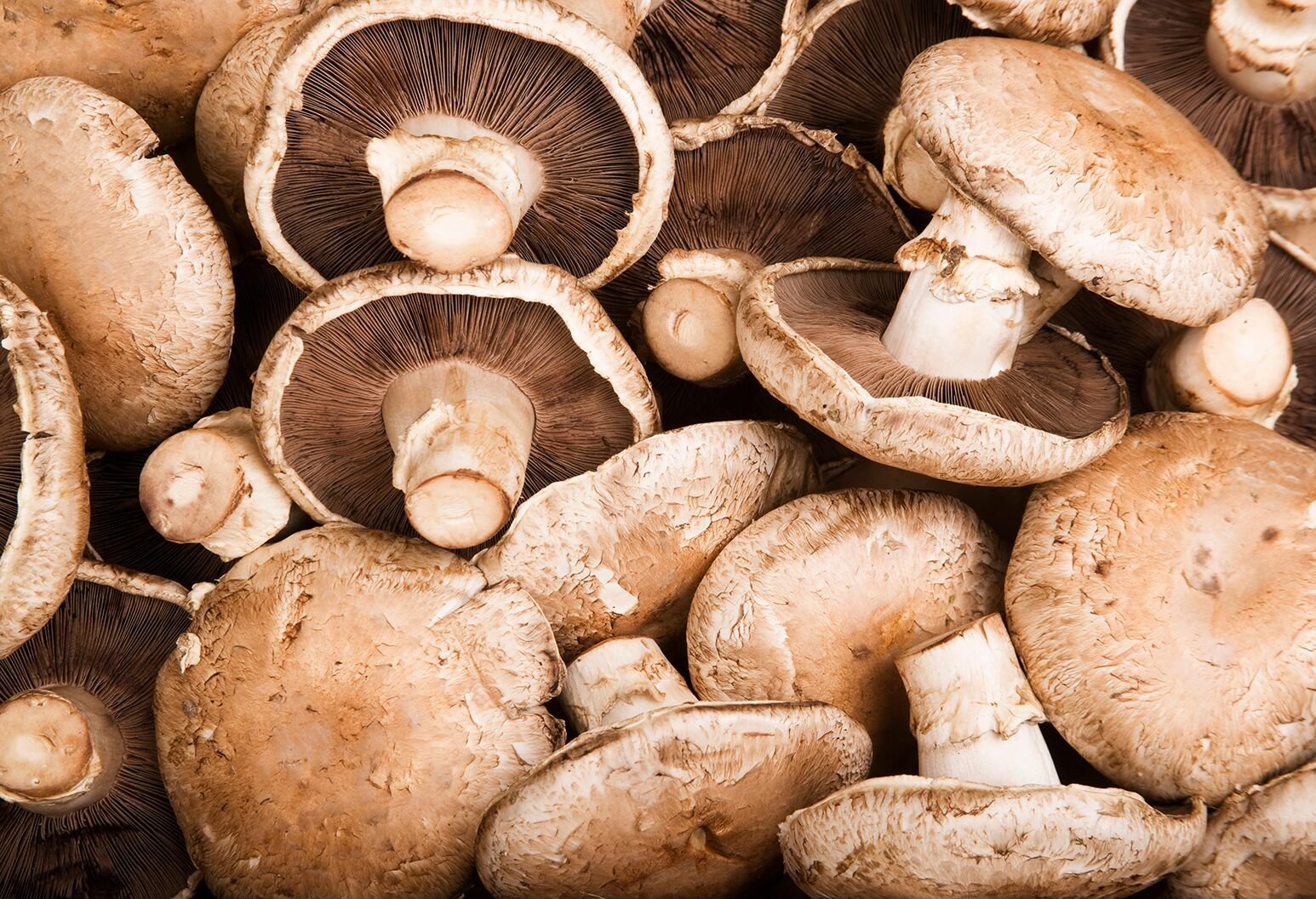 mushrooms, portobello