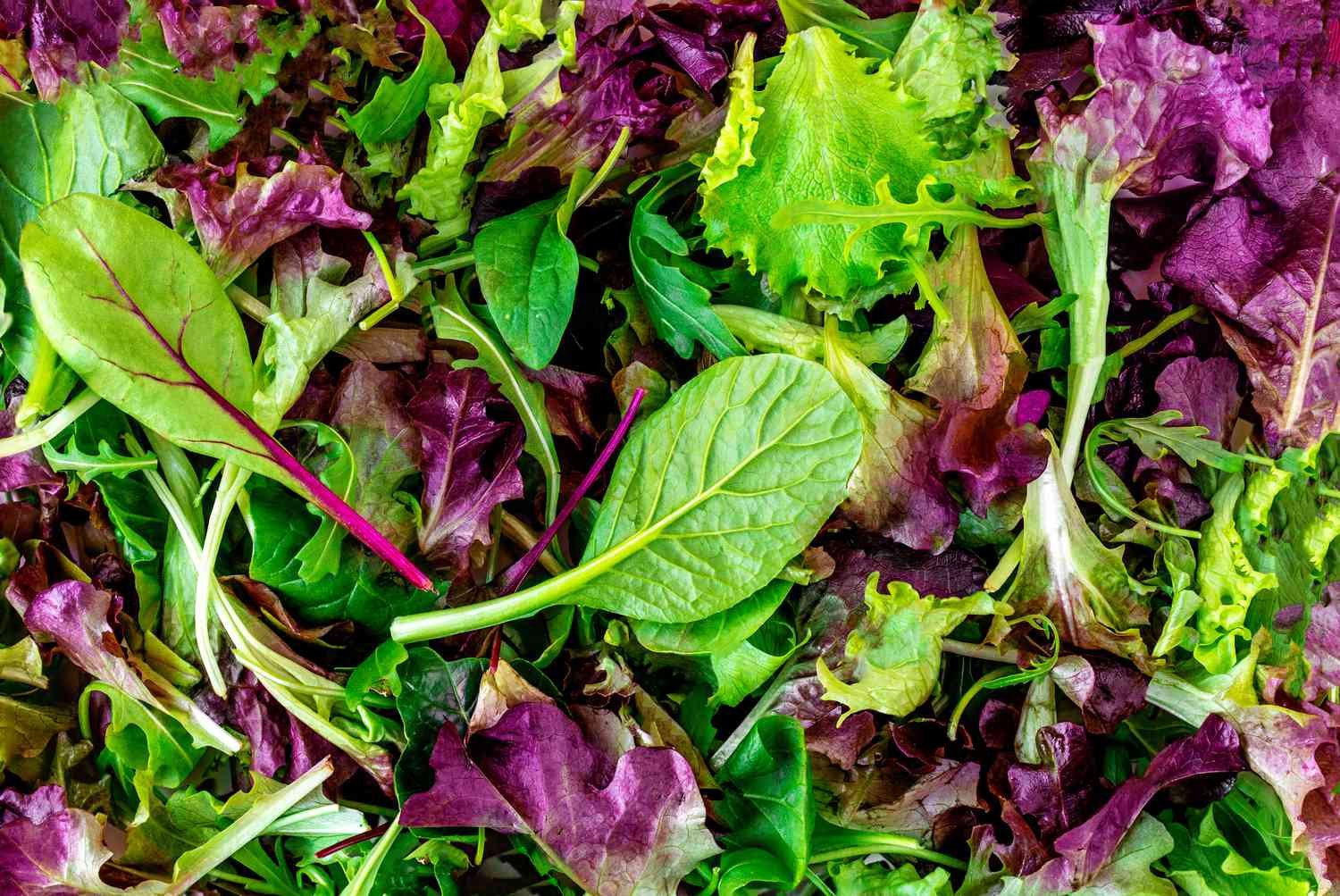 lettuce, mesclun