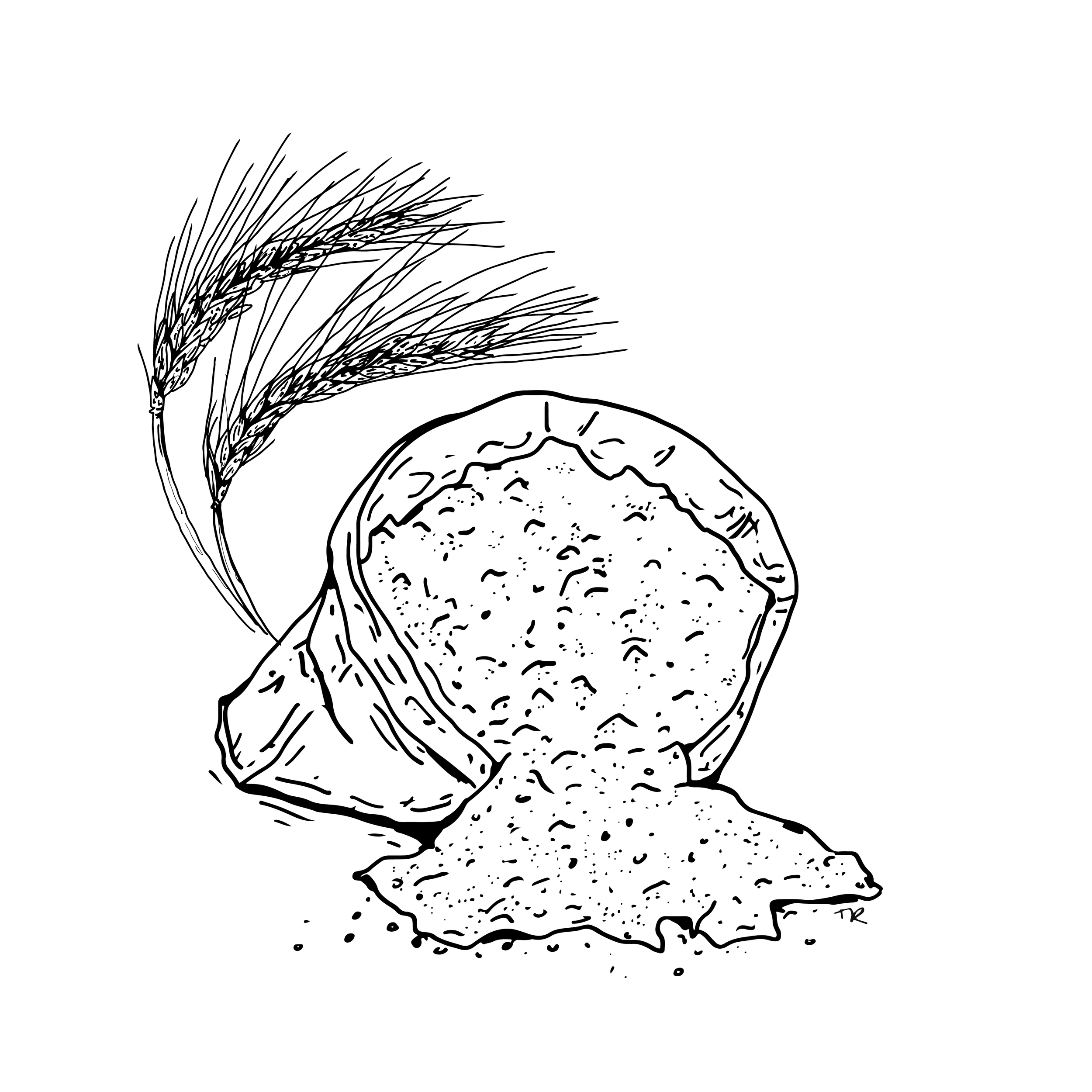 flour, rye - wholemeal