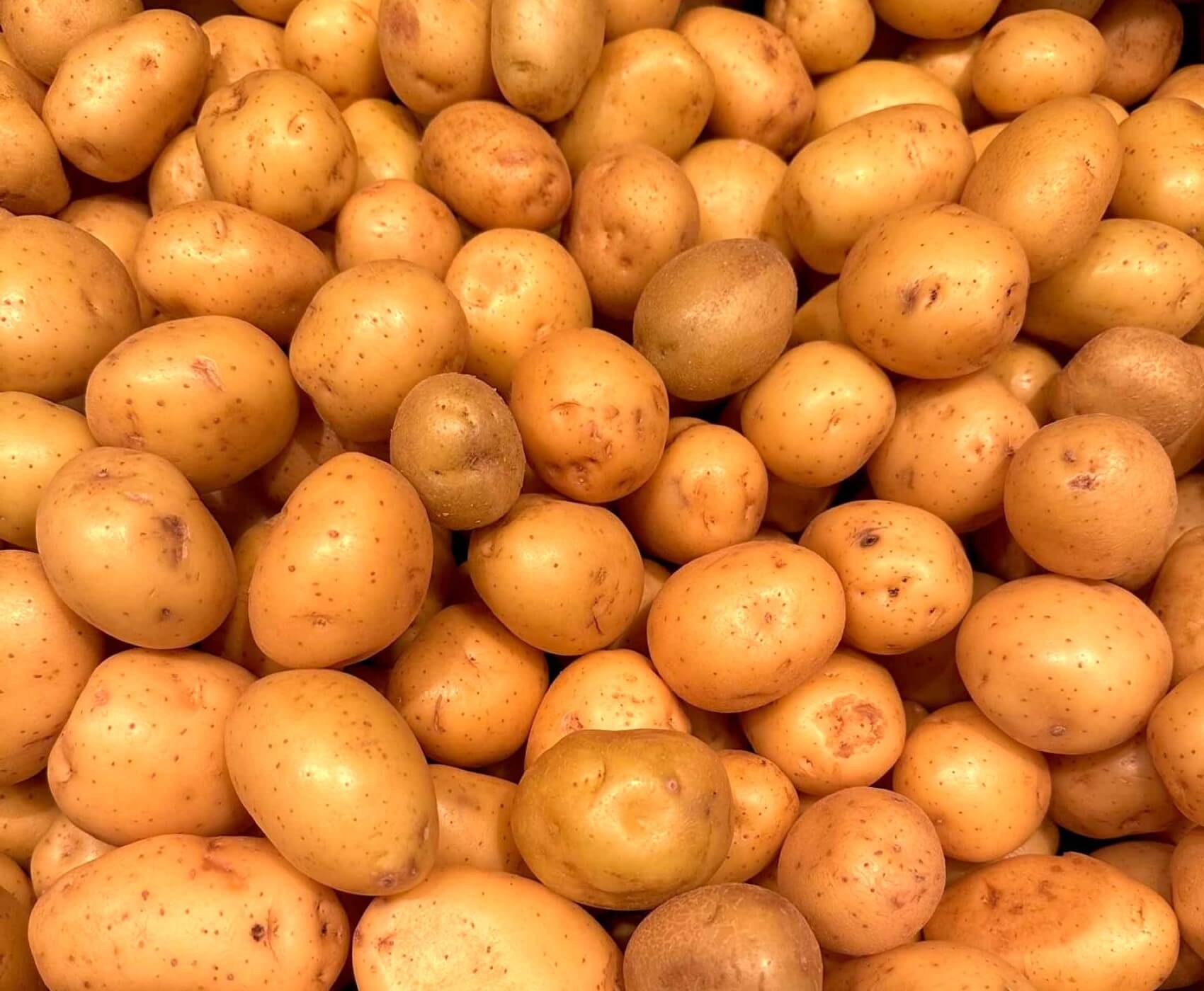 potatoes, yukon creamer