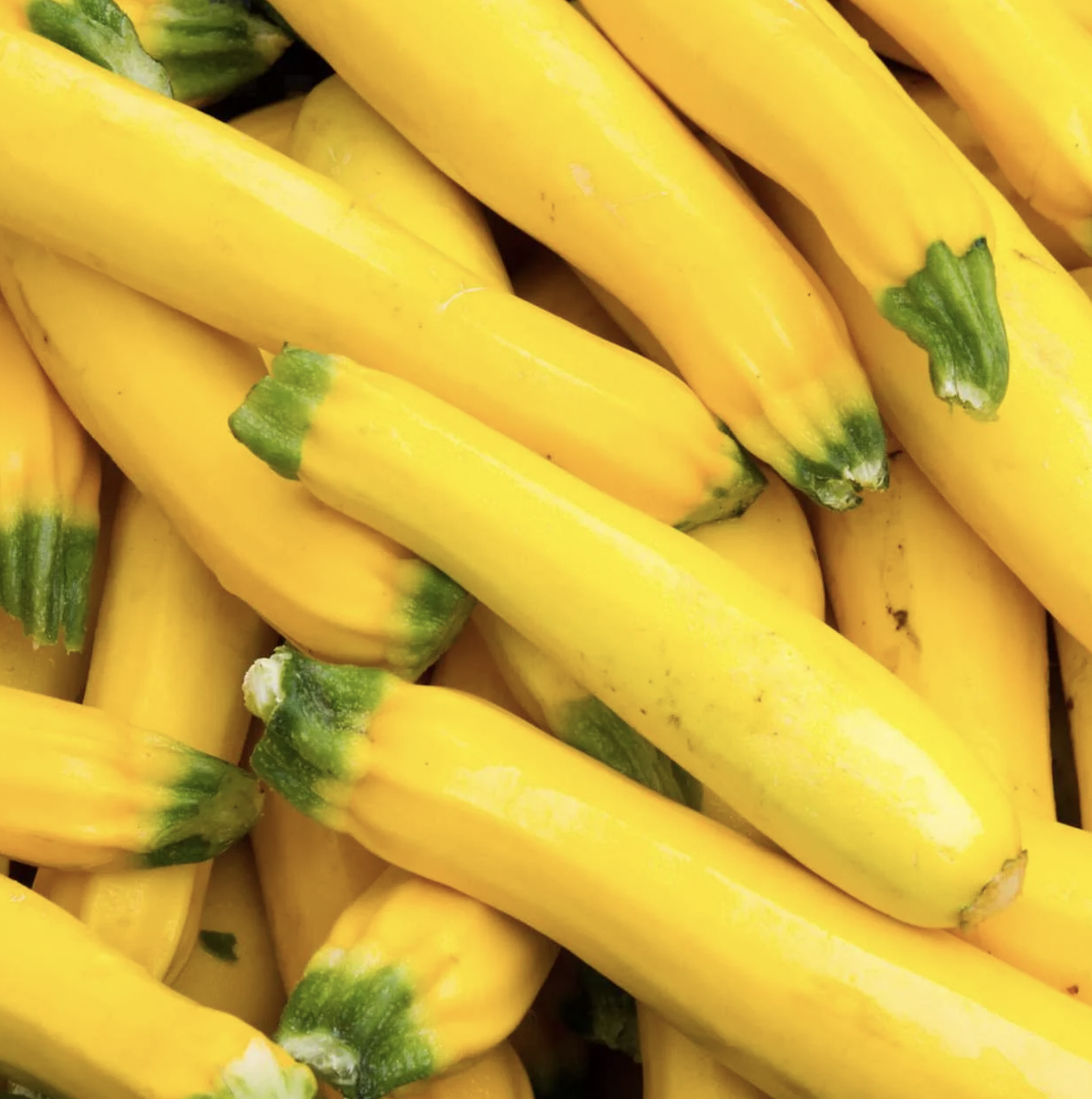 zucchini, yellow