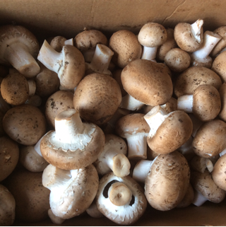 mushrooms, cremini