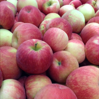 apples, honeycrisp