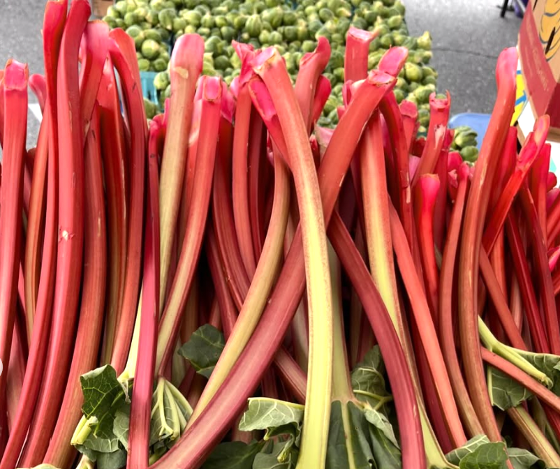 rhubarb