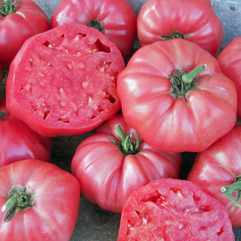 tomatoes, brandywine heirloom