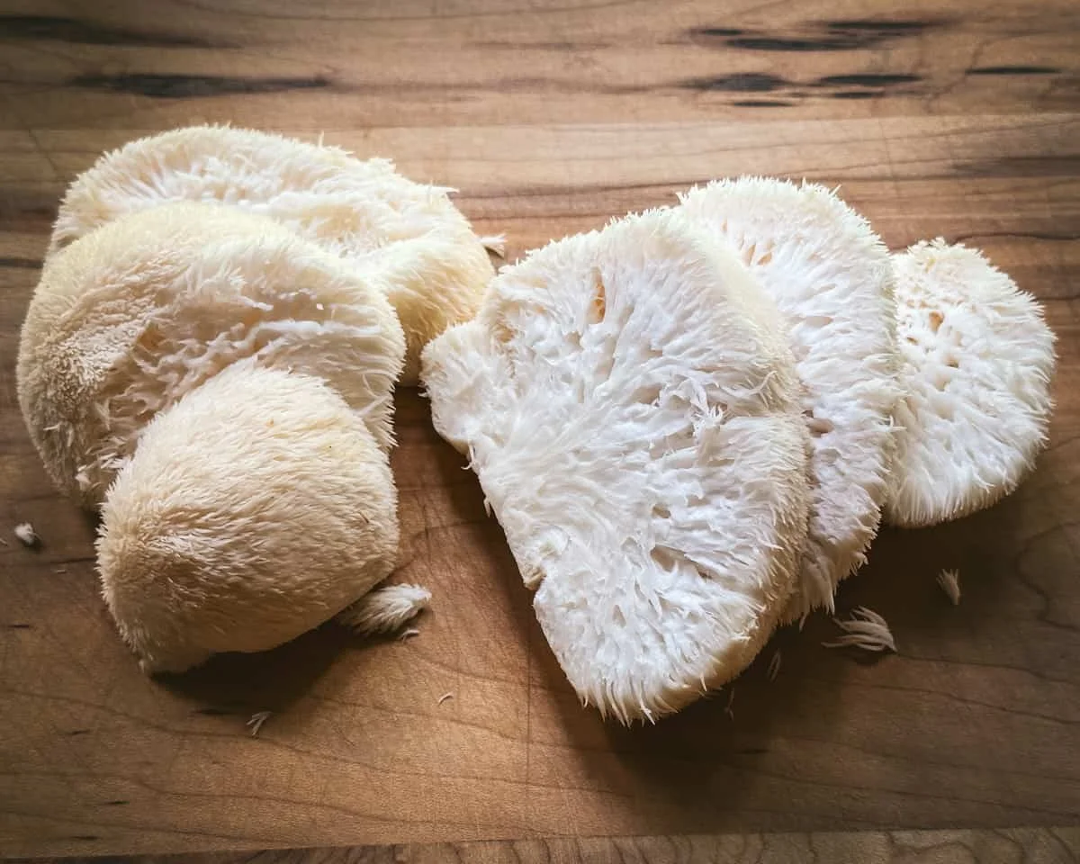 mushrooms, lions mane