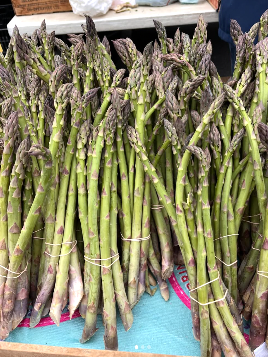 asparagus, wild
